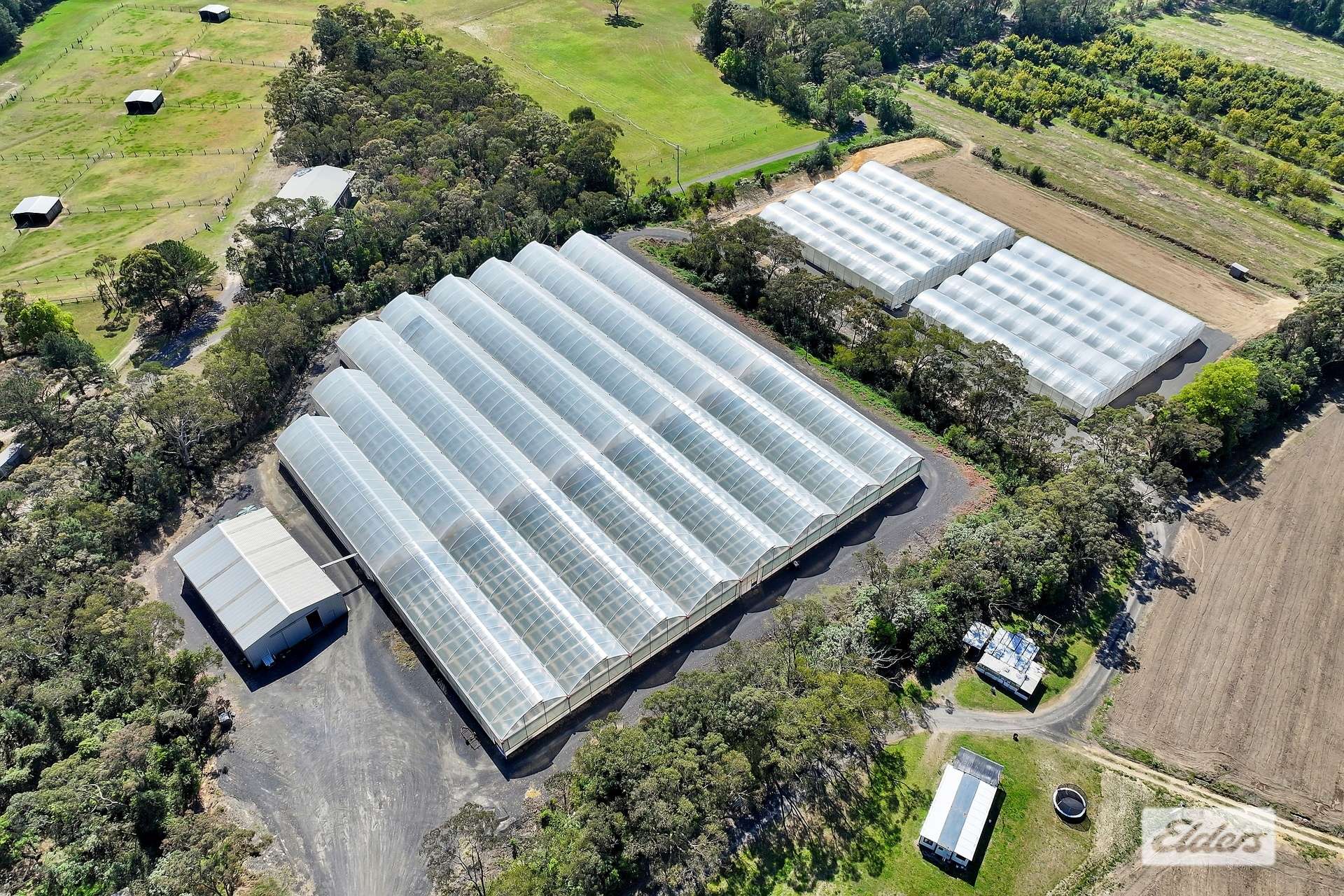 430 George Downes Drive, Central Mangrove For Sale by Farmbuy.com - image 13