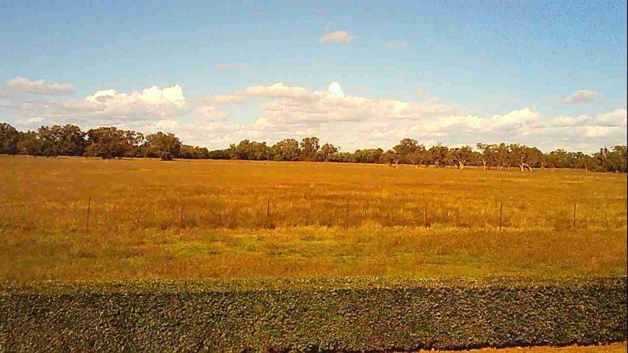 619 Back Gular Road, Coonamble Auction by Farmbuy.com - image 9