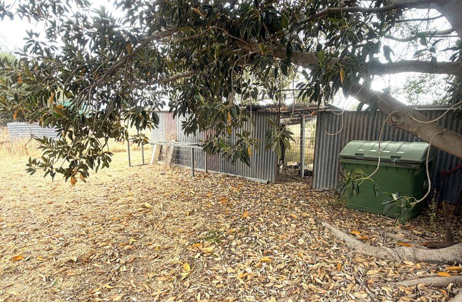 619 Back Gular Road, Coonamble Auction by Farmbuy.com - image 32