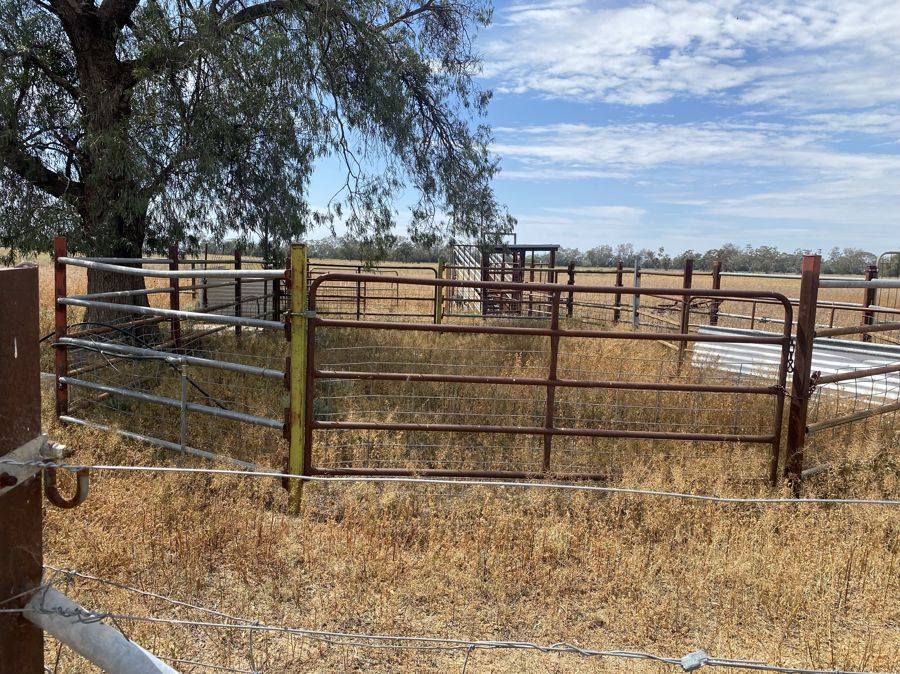 619 Back Gular Road, Coonamble Auction by Farmbuy.com - image 34