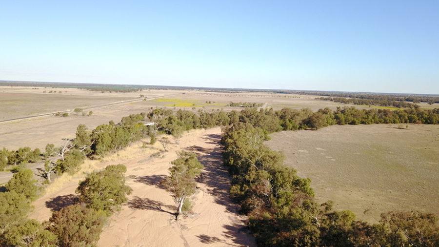 619 Back Gular Road, Coonamble Auction by Farmbuy.com - image 10