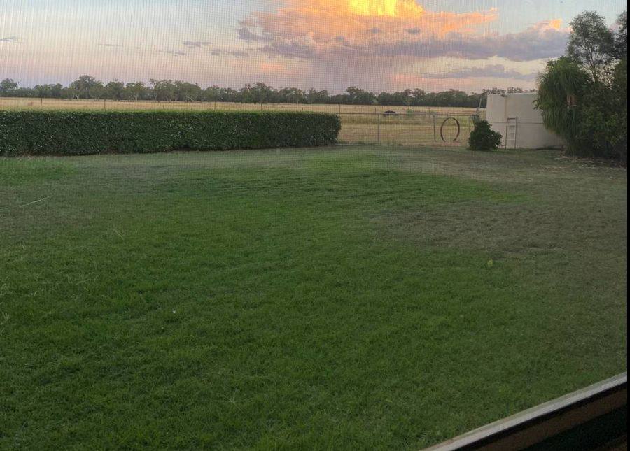 619 Back Gular Road, Coonamble Auction by Farmbuy.com - image 6