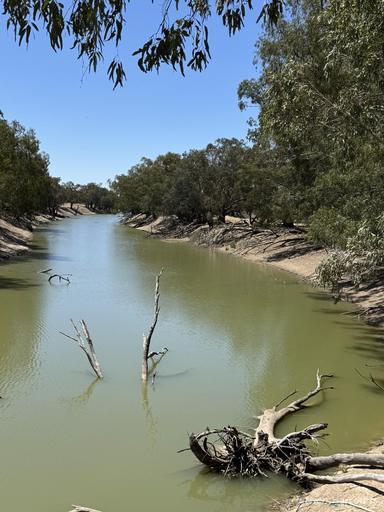 Farm For Sale - NSW - Louth - 2840 - 'West Wychucca' 