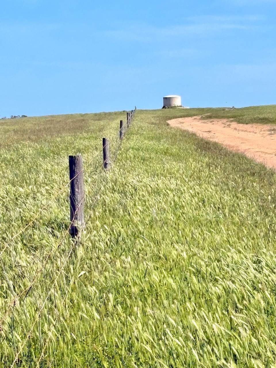 1905 Denial Bay Road, Nadia For Sale by Farmbuy.com - image 13