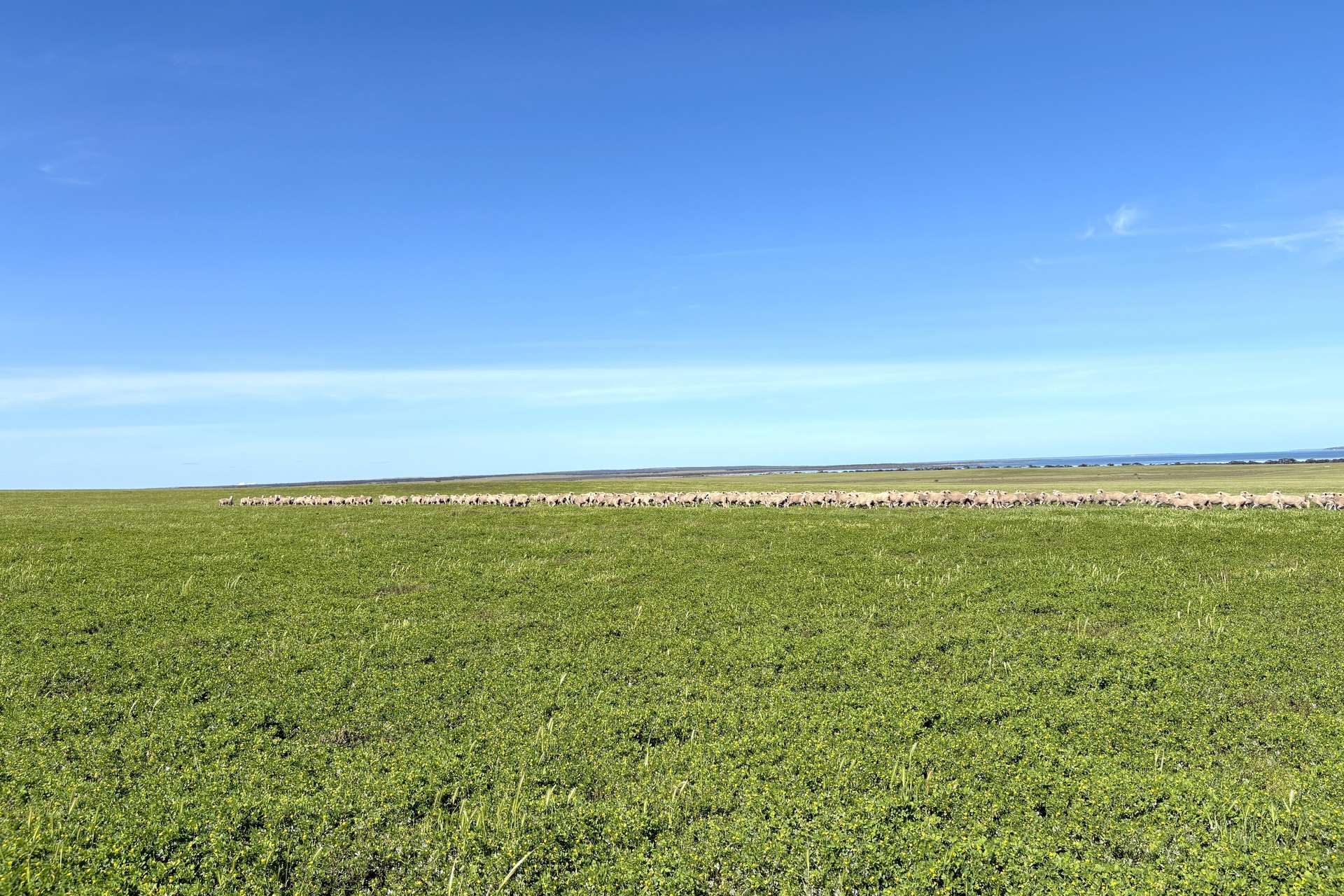 1905 Denial Bay Road, Nadia For Sale by Farmbuy.com - image 19