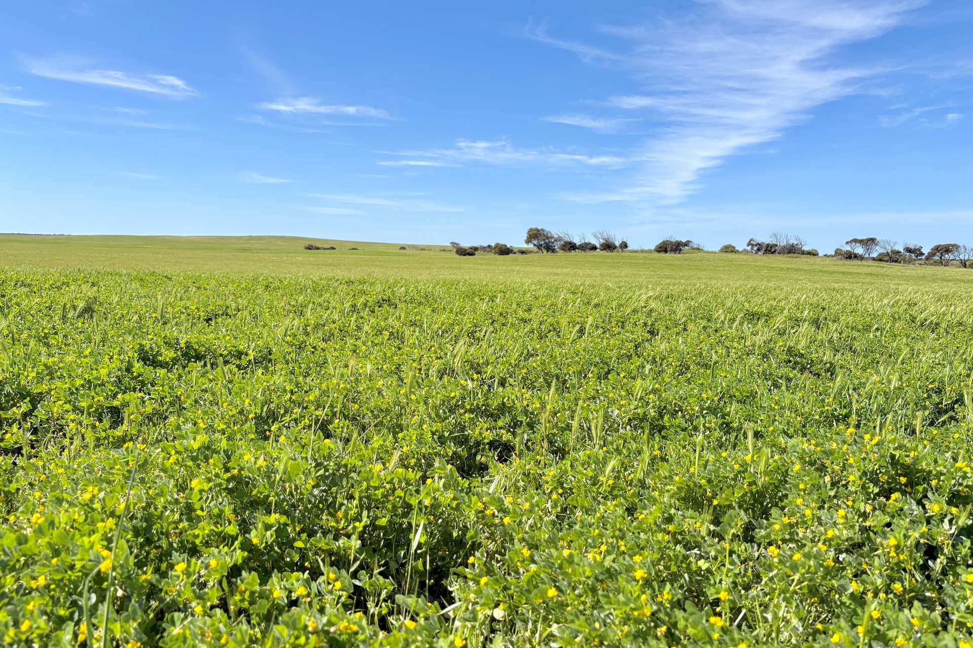 1905 Denial Bay Road, Nadia For Sale by Farmbuy.com - image 24