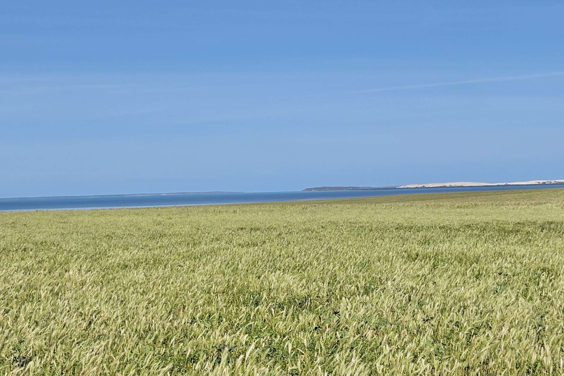 1905 Denial Bay Road, Nadia For Sale by Farmbuy.com - image 23