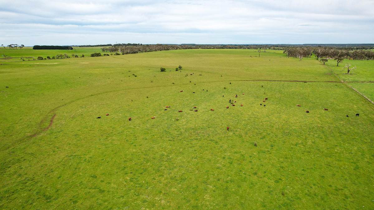 'Ardlie's' Woolsthorpe-Heywood Road, Broadwater For Sale by Farmbuy.com - image 5