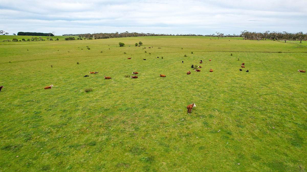 'Ardlie's' Woolsthorpe-Heywood Road, Broadwater For Sale by Farmbuy.com - image 2