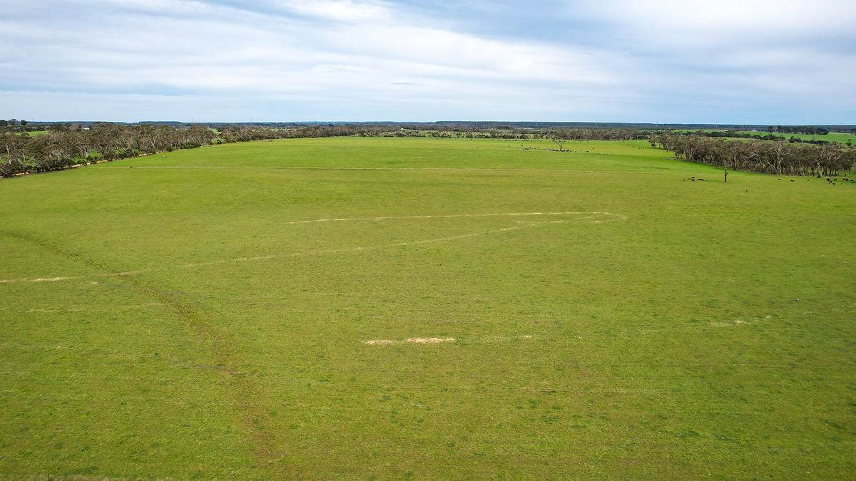'Ardlie's' Woolsthorpe-Heywood Road, Broadwater For Sale by Farmbuy.com - image 3