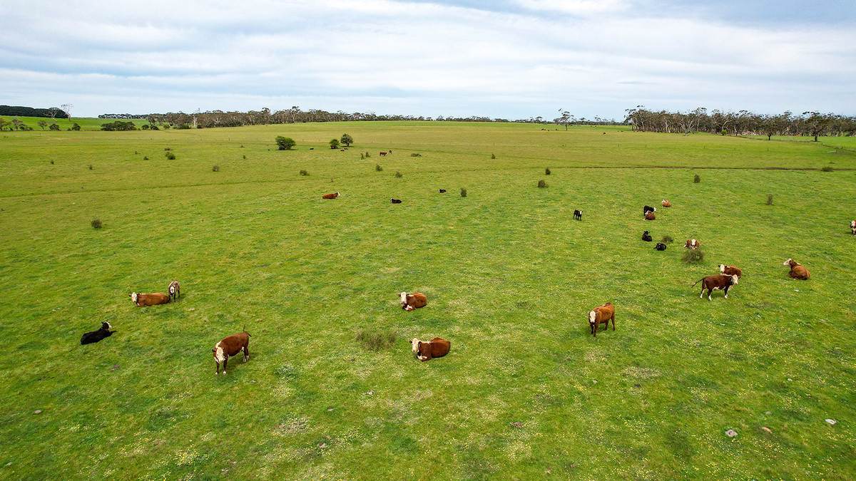 'Ardlie's' Woolsthorpe-Heywood Road, Broadwater For Sale by Farmbuy.com - image 6