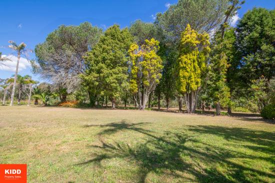 93 Brieses Road, Peats Ridge For Sale by Farmbuy.com - image 28