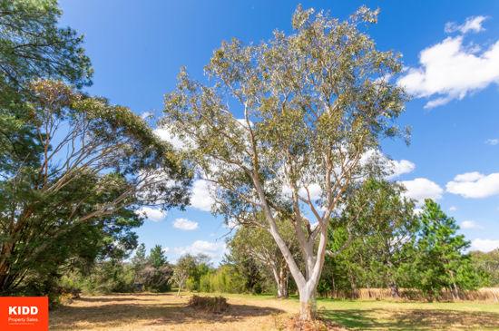 93 Brieses Road, Peats Ridge For Sale by Farmbuy.com - image 31