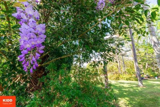 93 Brieses Road, Peats Ridge For Sale by Farmbuy.com - image 22