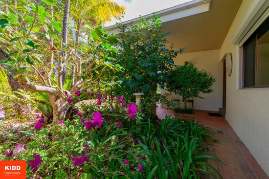 93 Brieses Road, Peats Ridge For Sale by Farmbuy.com - image 26