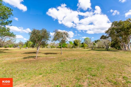 93 Brieses Road, Peats Ridge For Sale by Farmbuy.com - image 34
