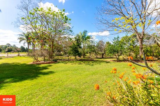 93 Brieses Road, Peats Ridge For Sale by Farmbuy.com - image 25