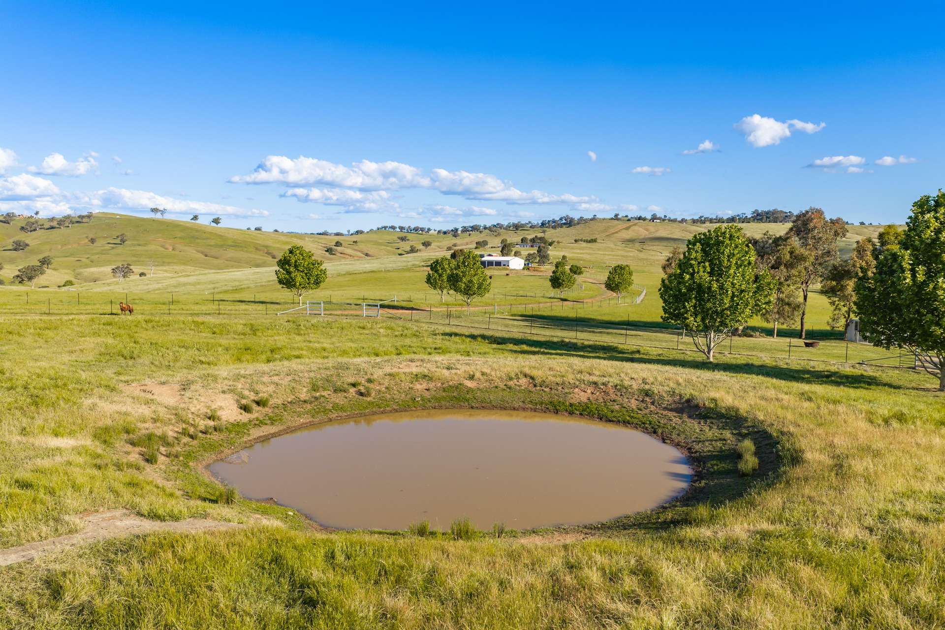452 Pride Of Oak Road, Canowindra For Sale by Farmbuy.com - image 28