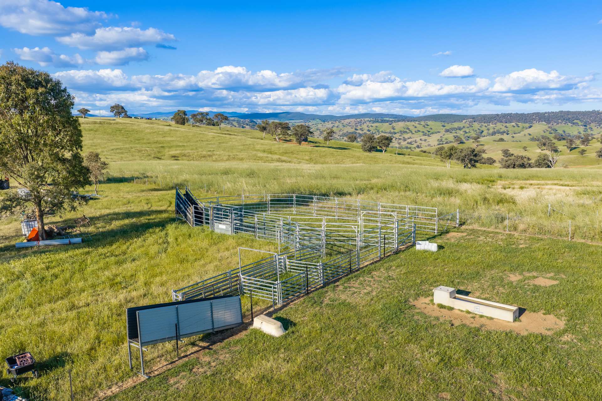 452 Pride Of Oak Road, Canowindra For Sale by Farmbuy.com - image 26