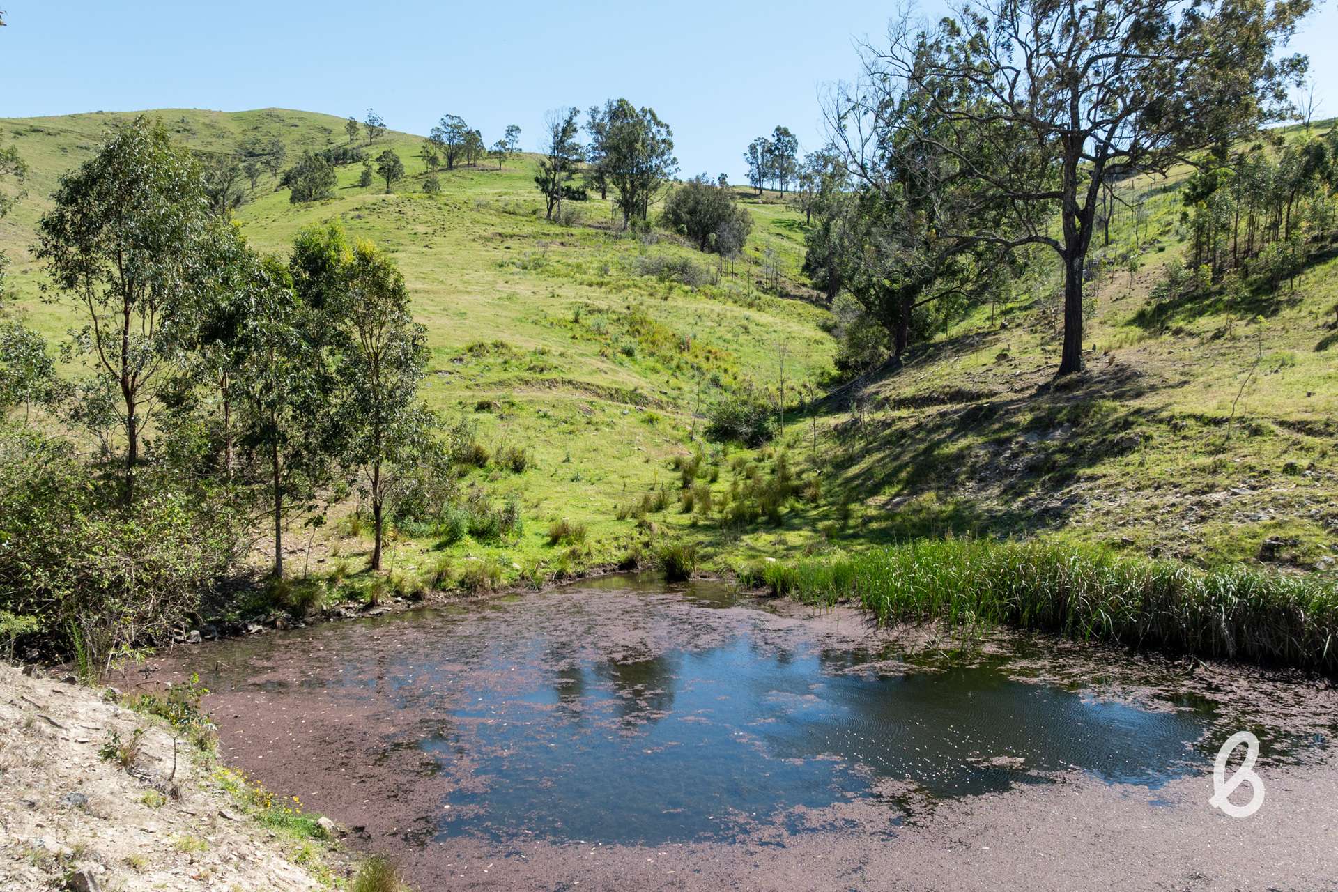 52 Gabulah Road, Gresford Auction by Farmbuy.com - image 33