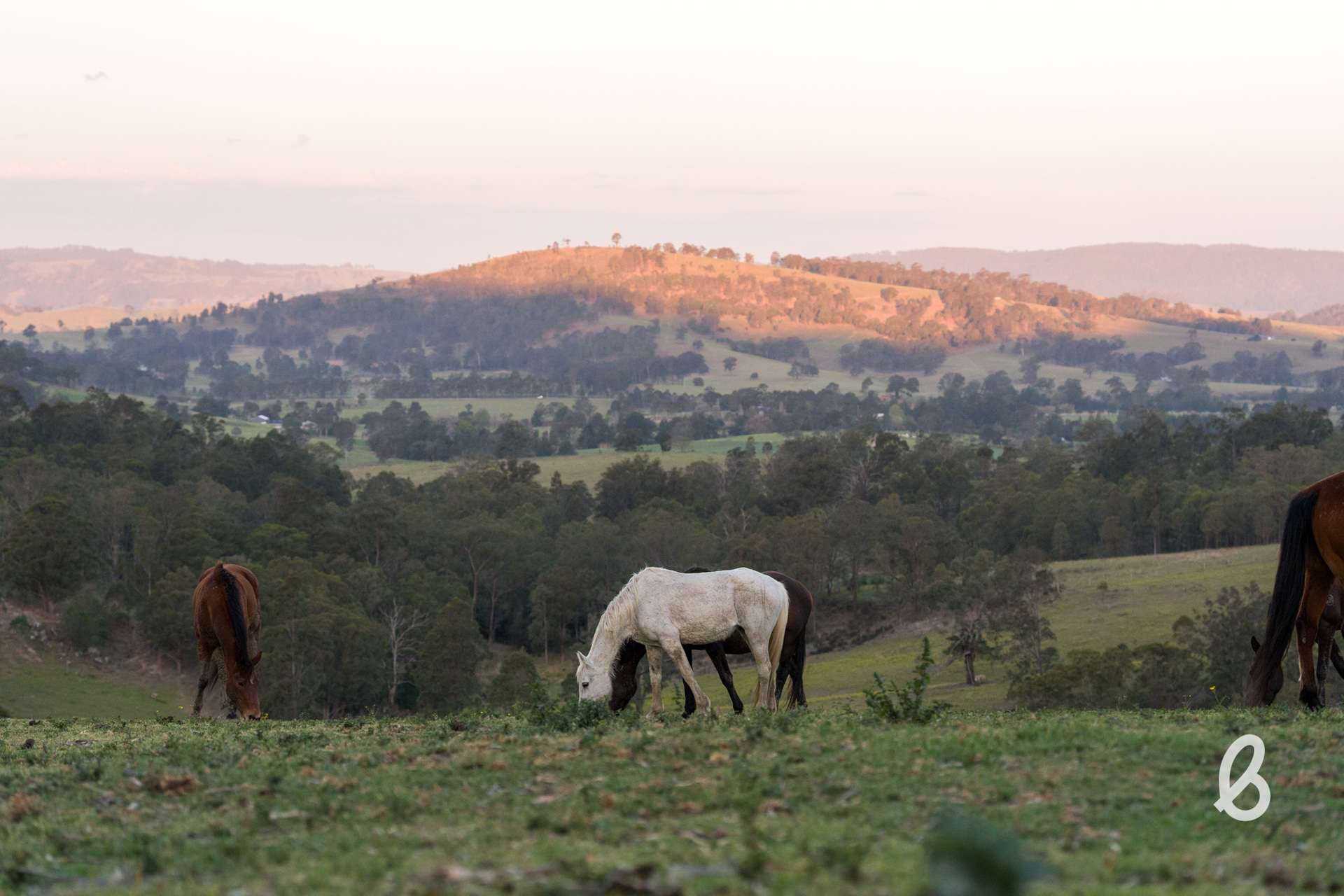 52 Gabulah Road, Gresford Auction by Farmbuy.com - image 34
