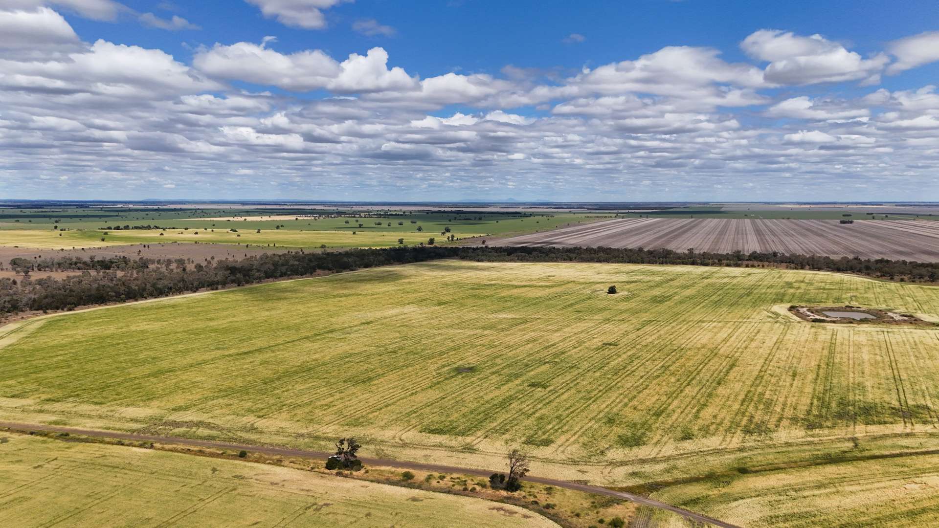 814 Murrays Road, Moree For Sale by Farmbuy.com - image 8