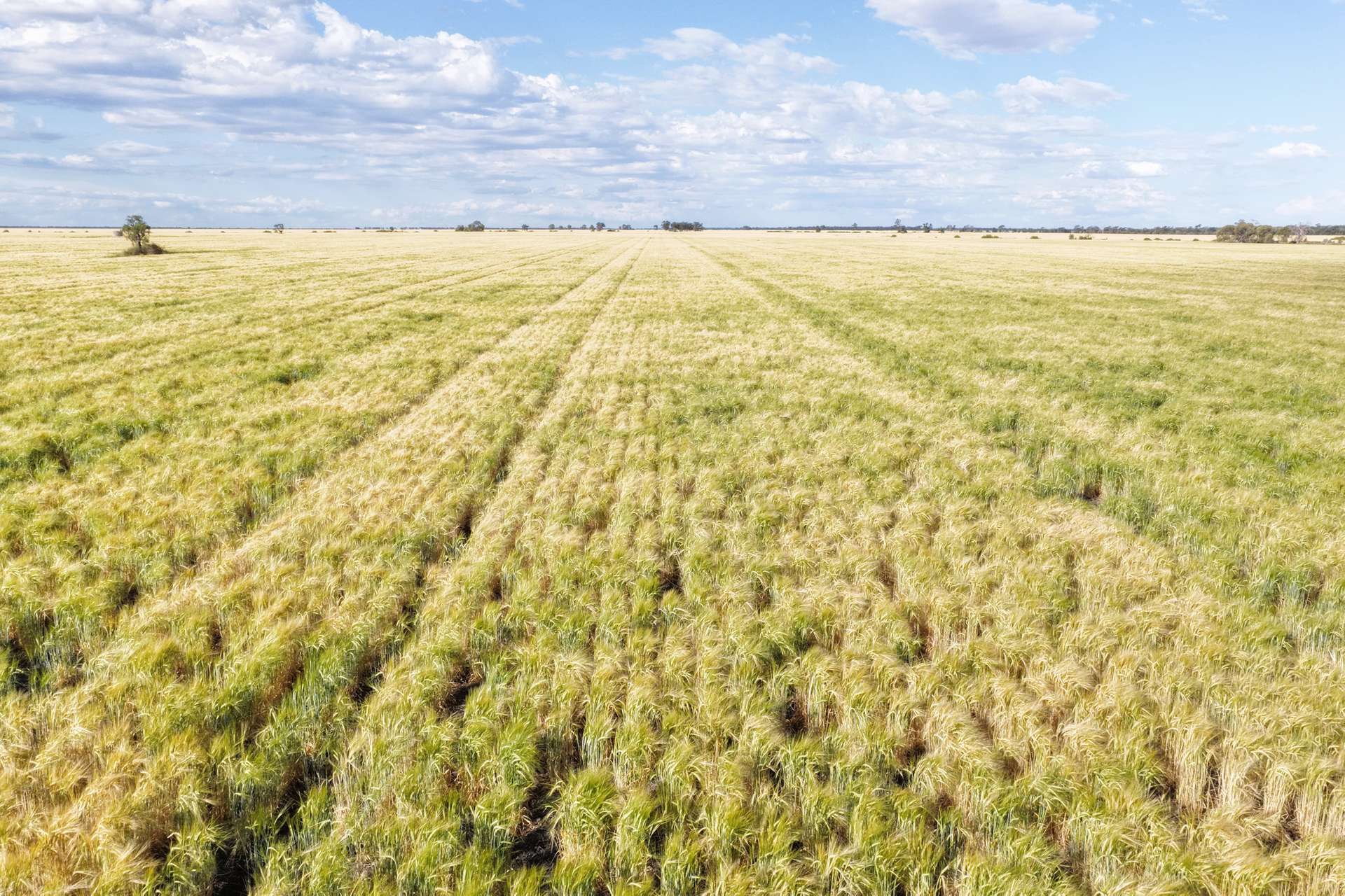 814 Murrays Road, Moree For Sale by Farmbuy.com - image 2