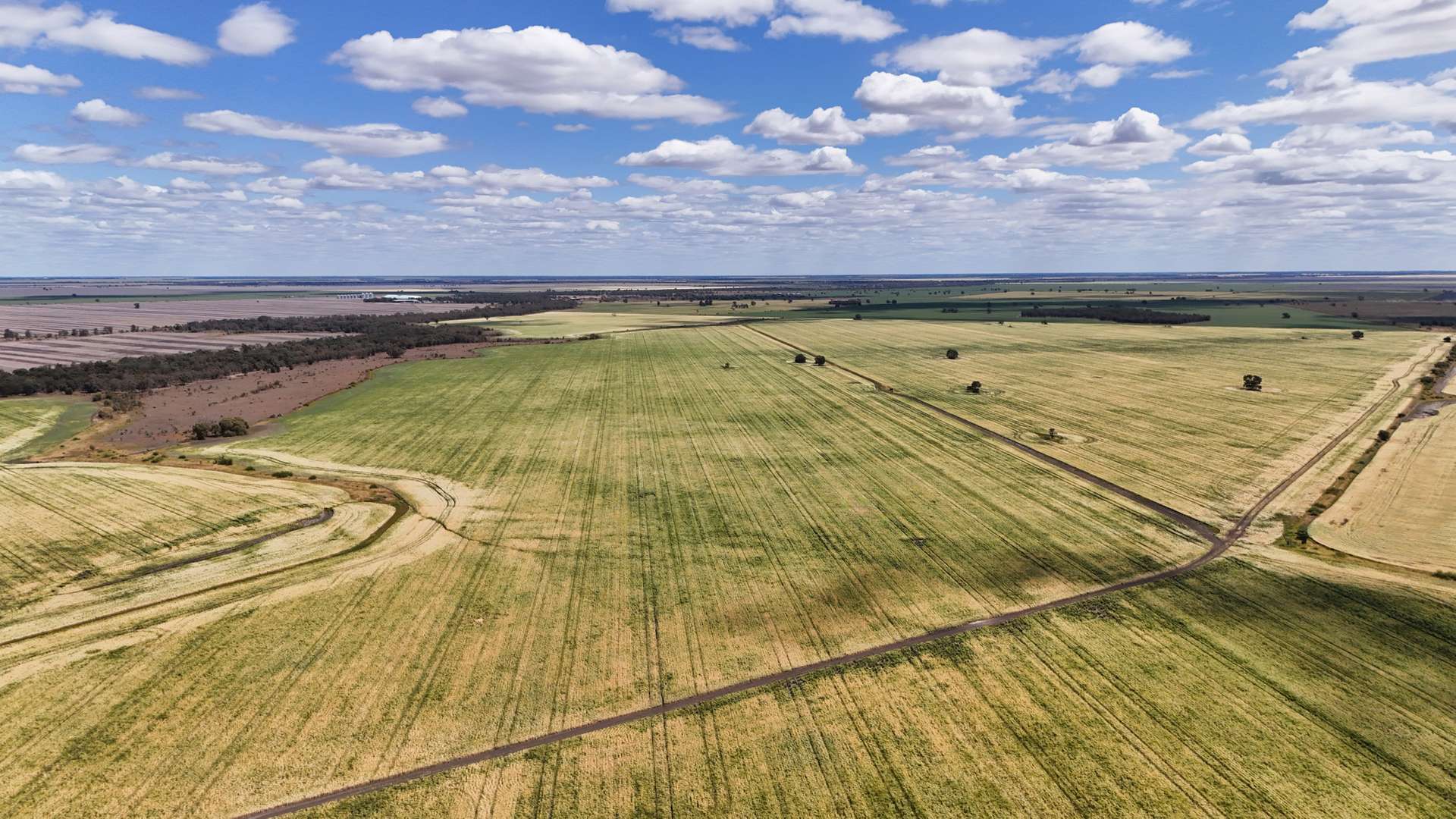 814 Murrays Road, Moree For Sale by Farmbuy.com - image 7