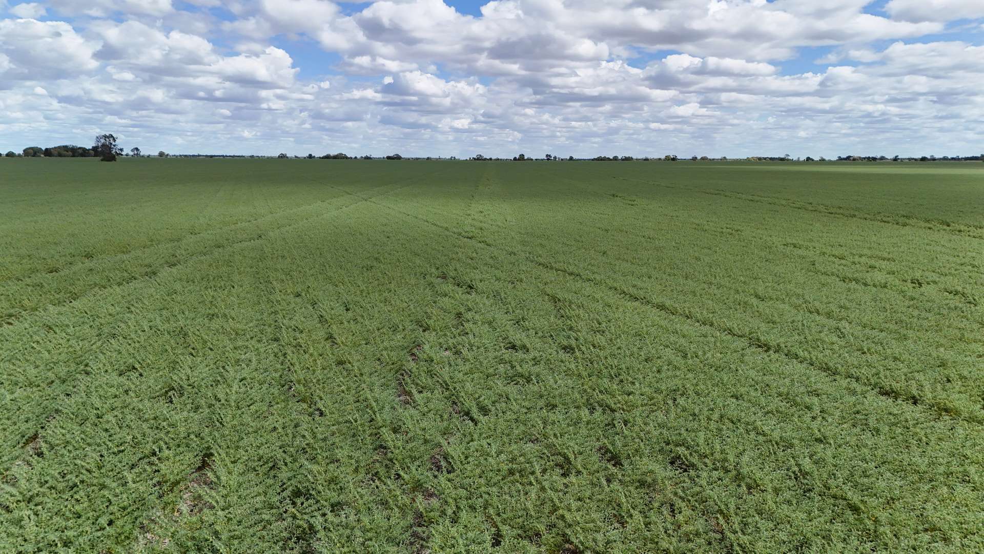 814 Murrays Road, Moree For Sale by Farmbuy.com - image 3
