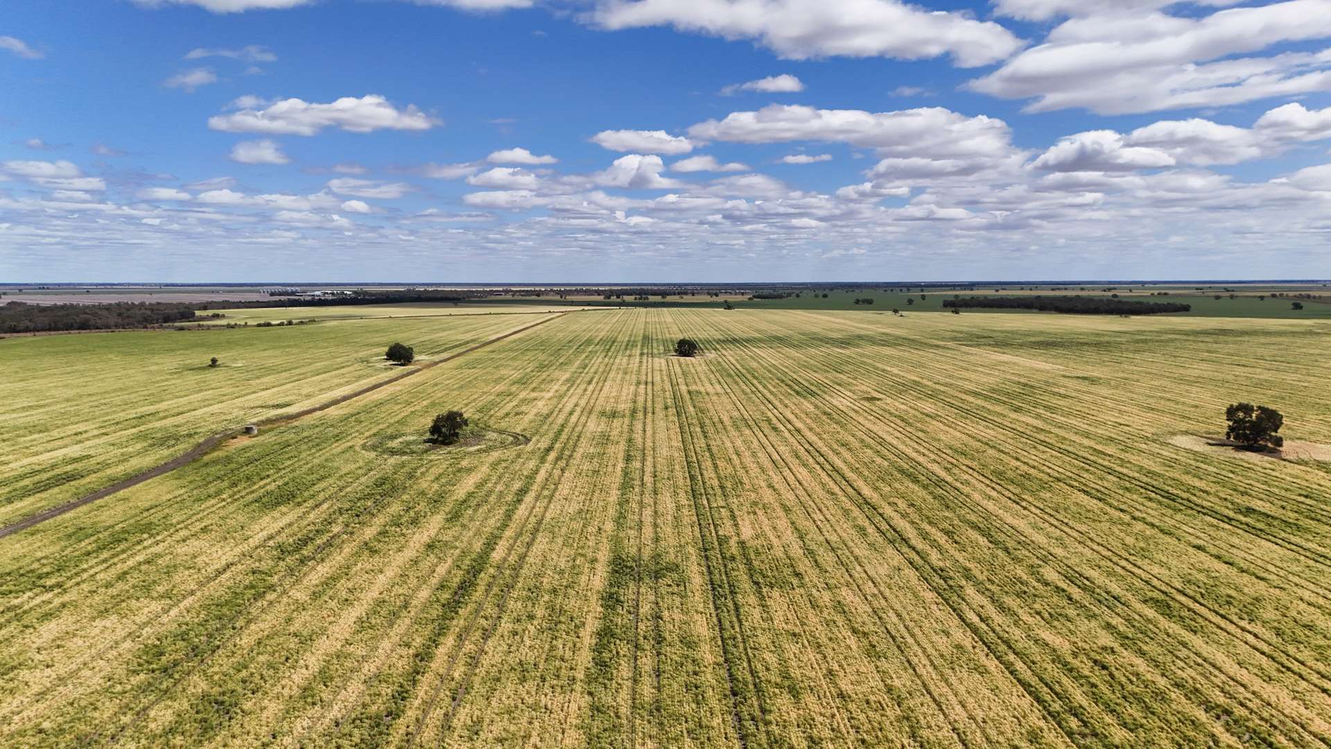 814 Murrays Road, Moree For Sale by Farmbuy.com - image 5