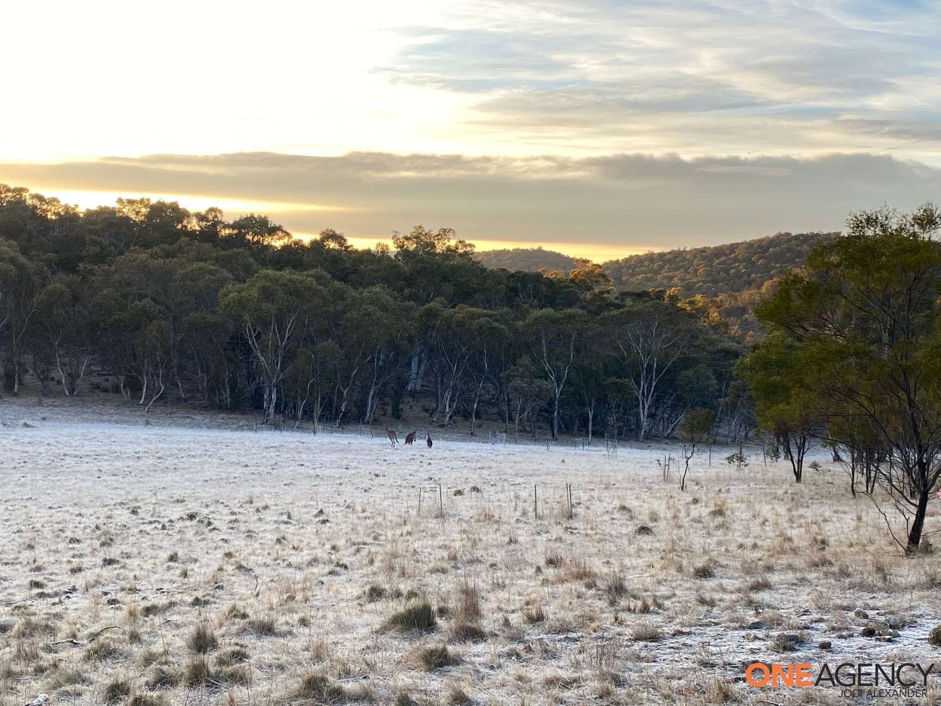 1560 Numeralla Road, Numeralla For Sale by Farmbuy.com - image 4