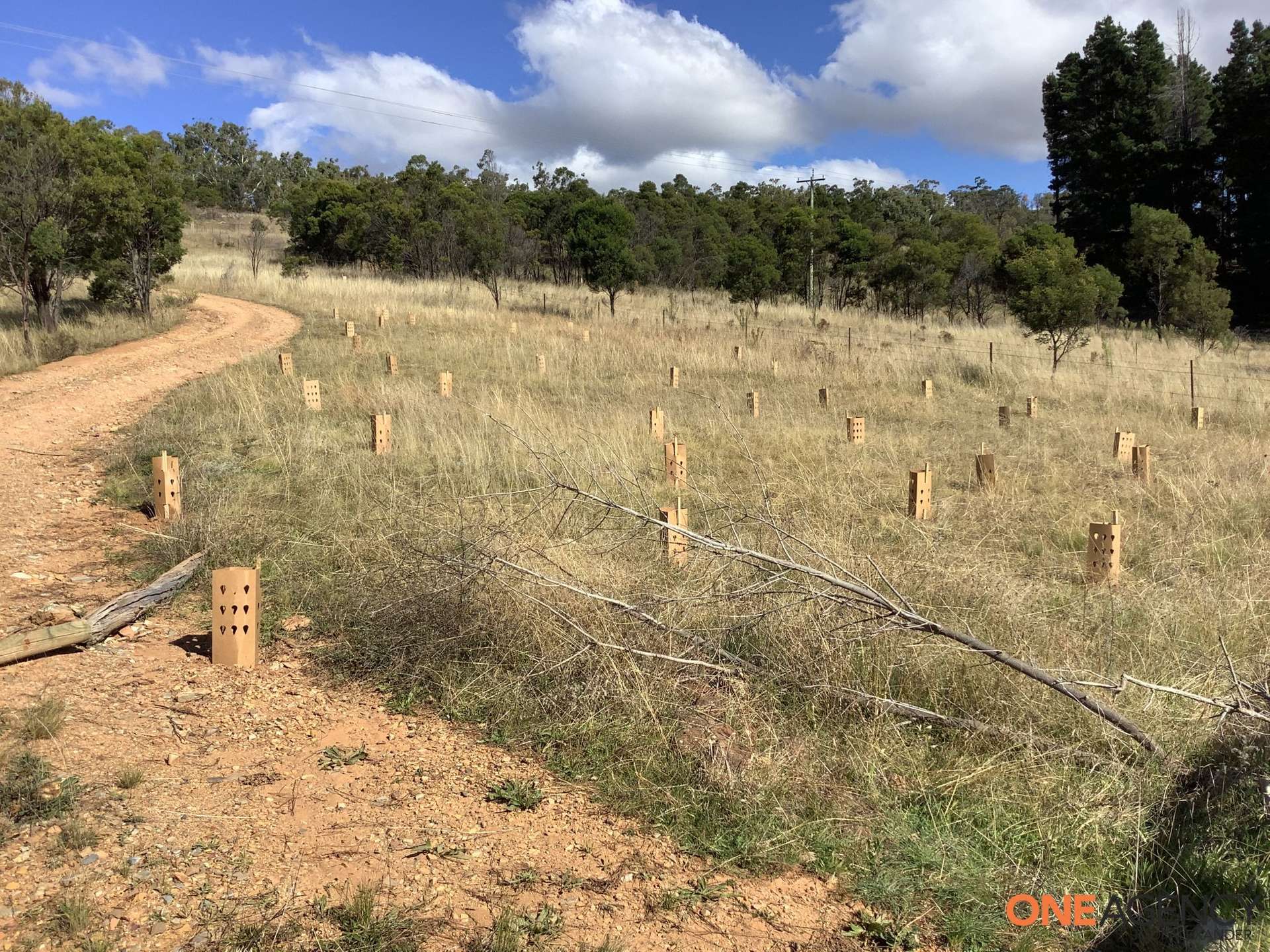 1560 Numeralla Road, Numeralla For Sale by Farmbuy.com - image 21