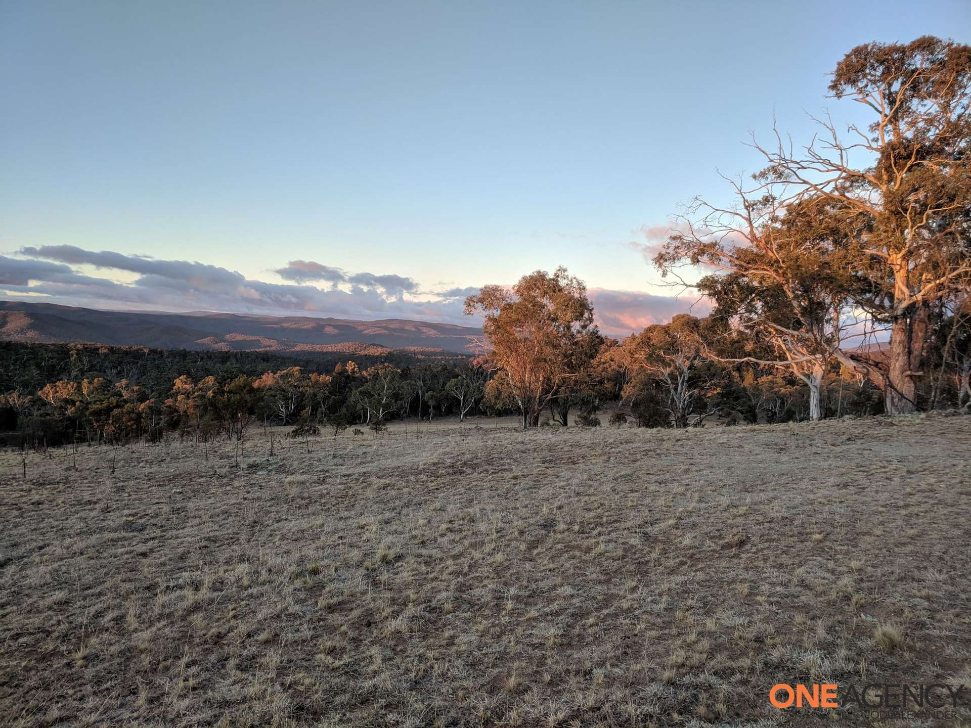 1560 Numeralla Road, Numeralla For Sale by Farmbuy.com - image 1
