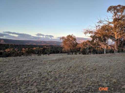 Farm For Sale - NSW - Numeralla - 2630 - Surrounded by Nature 