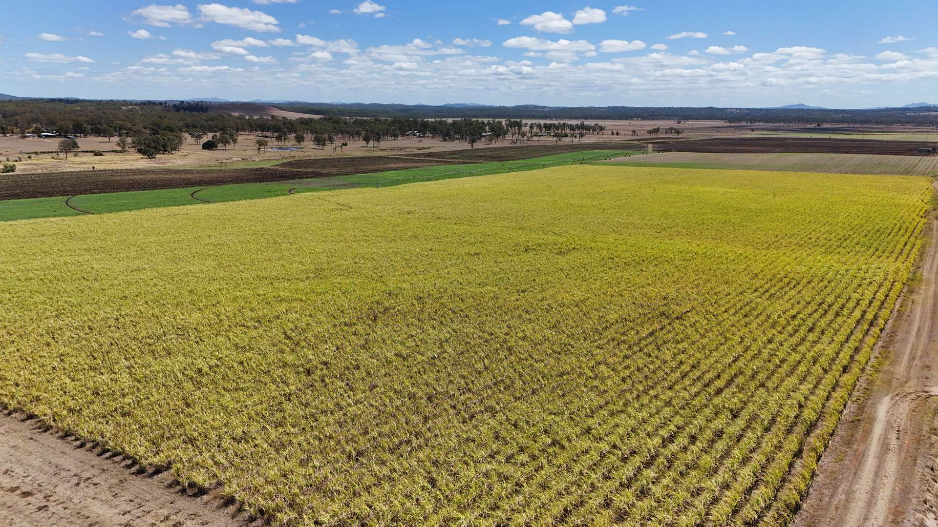77 Watawa Road, Tirroan For Sale by Farmbuy.com - image 6