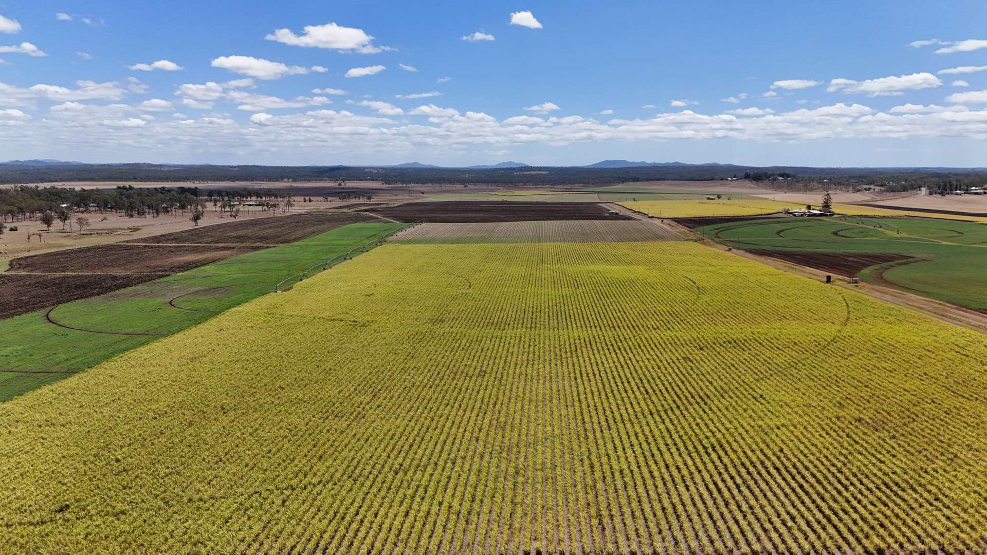 77 Watawa Road, Tirroan For Sale by Farmbuy.com - image 8