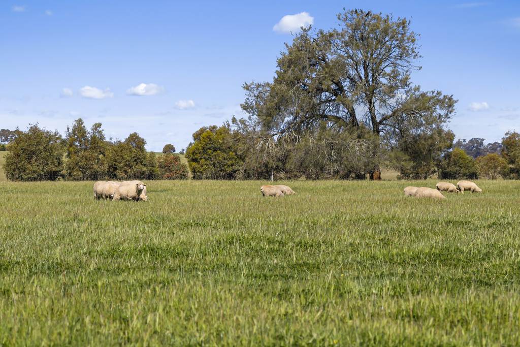 Tattersalls Lane, Moormbool West VIC 3523