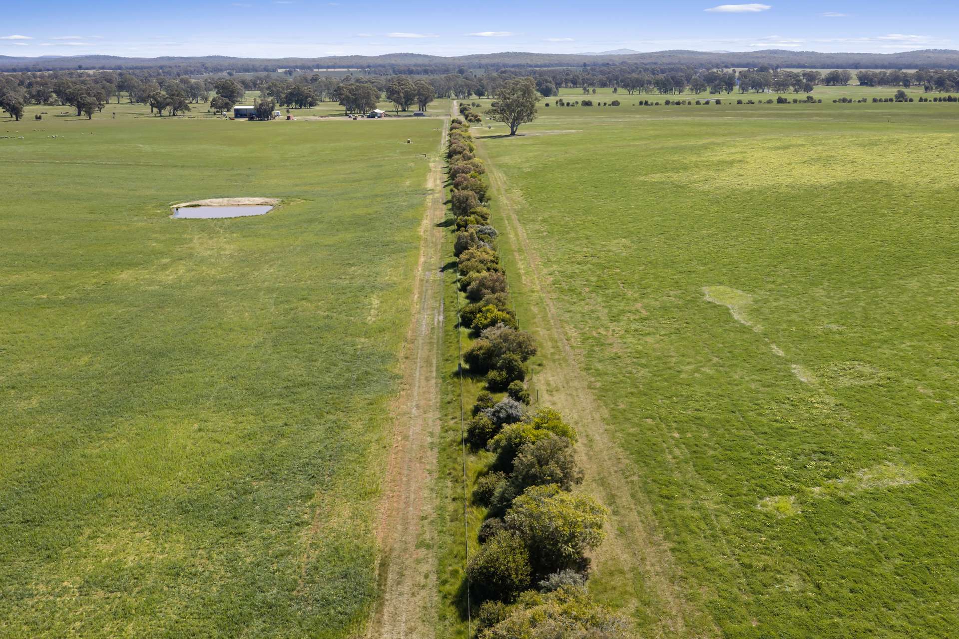 Tattersalls Lane, Moormbool West For Sale by Farmbuy.com - image 17