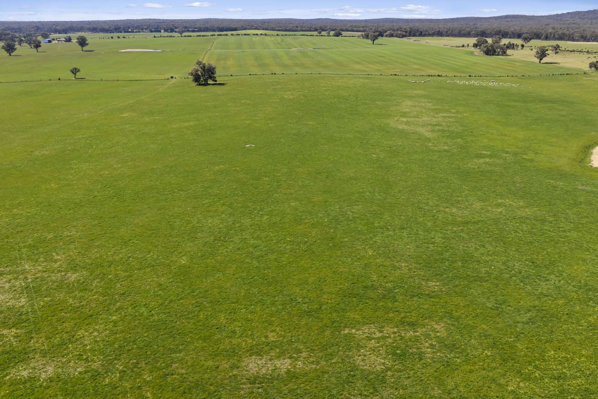 Tattersalls Lane, Moormbool West For Sale by Farmbuy.com - image 15