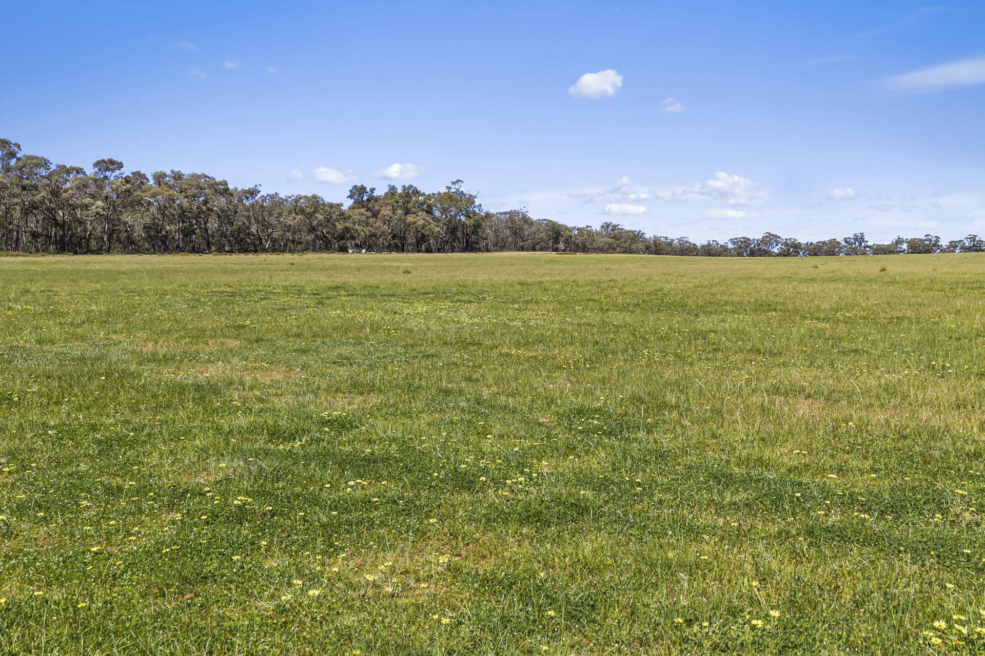 Tattersalls Lane, Moormbool West For Sale by Farmbuy.com - image 31
