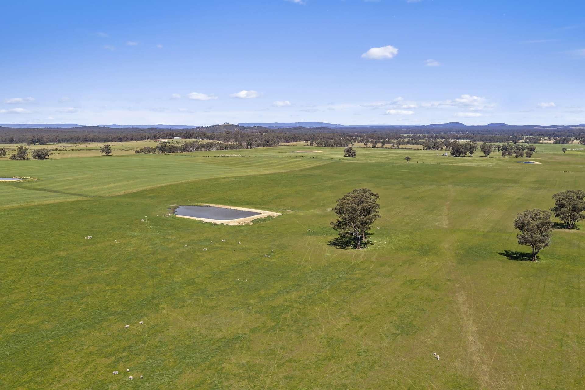 Tattersalls Lane, Moormbool West For Sale by Farmbuy.com - image 22