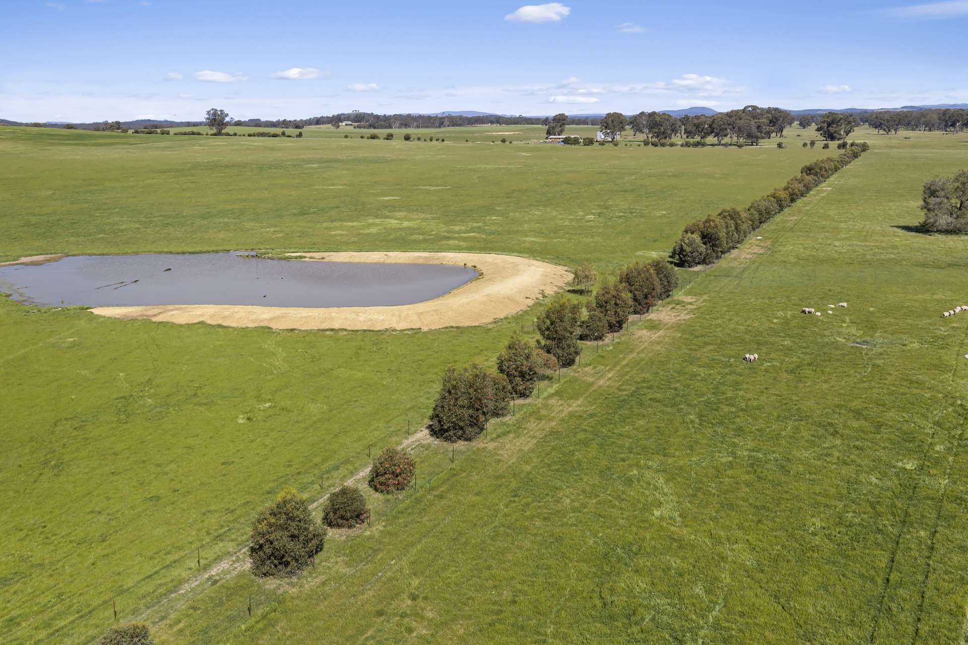 Tattersalls Lane, Moormbool West For Sale by Farmbuy.com - image 3
