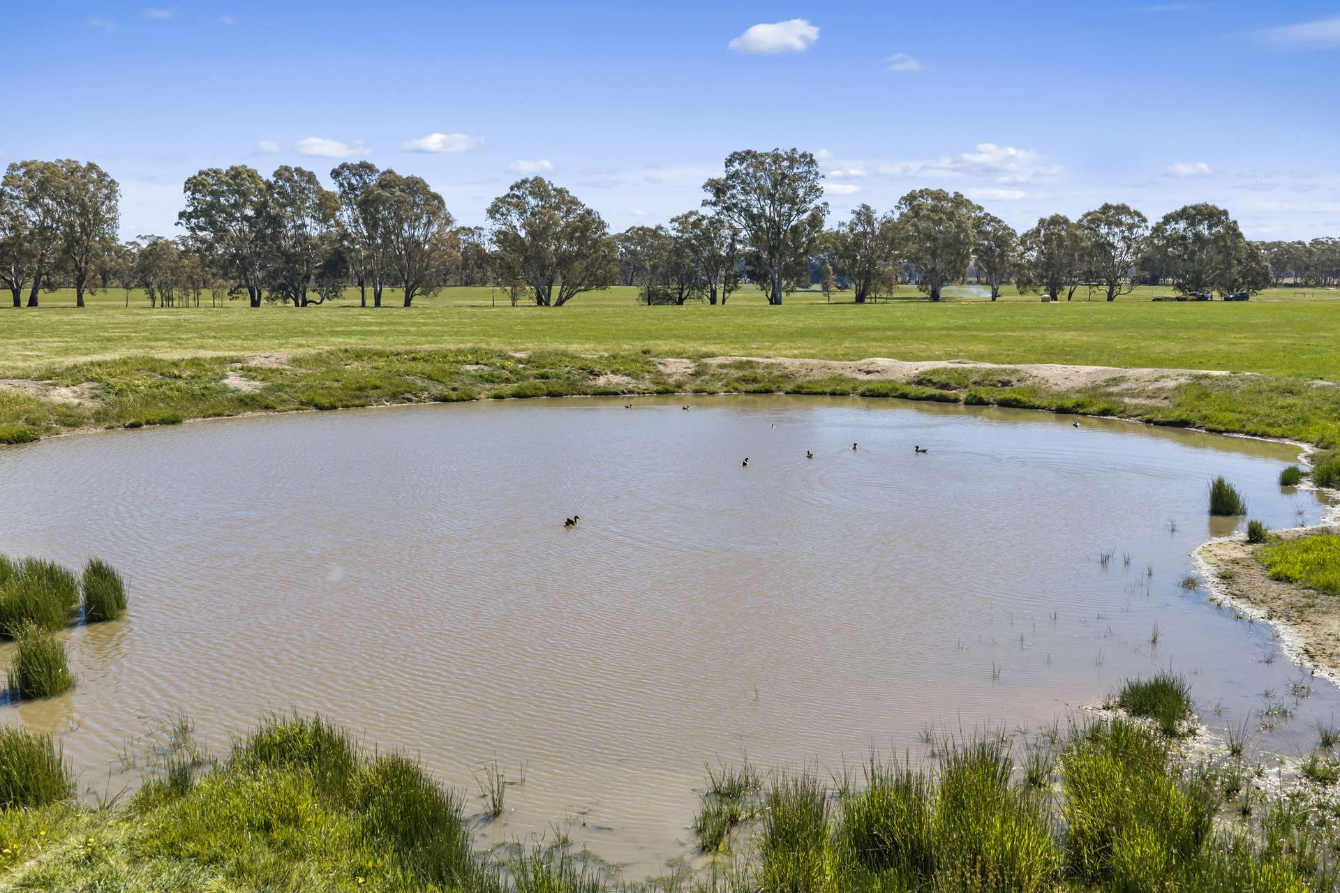 Tattersalls Lane, Moormbool West For Sale by Farmbuy.com - image 20