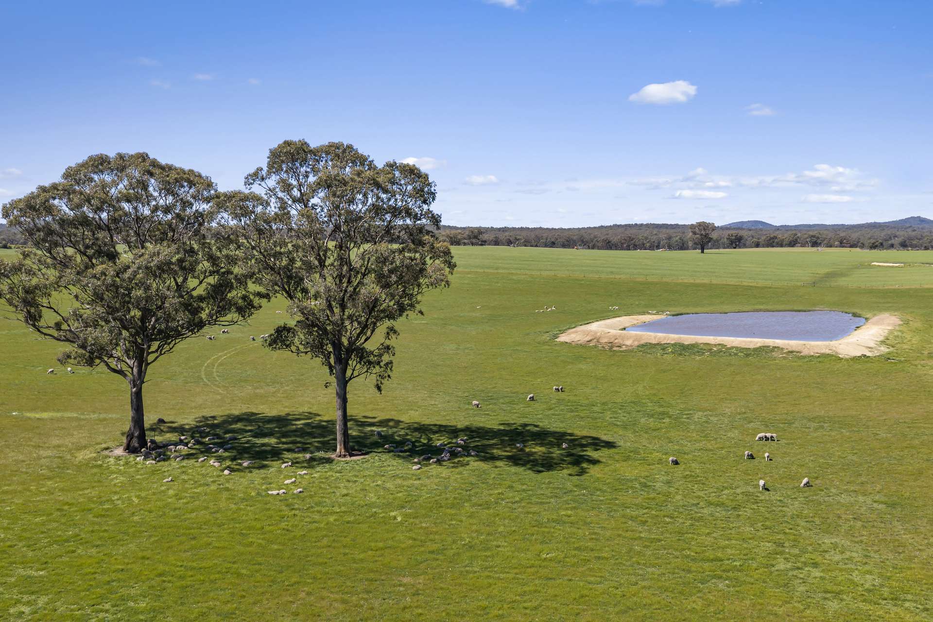 Tattersalls Lane, Moormbool West For Sale by Farmbuy.com - image 19
