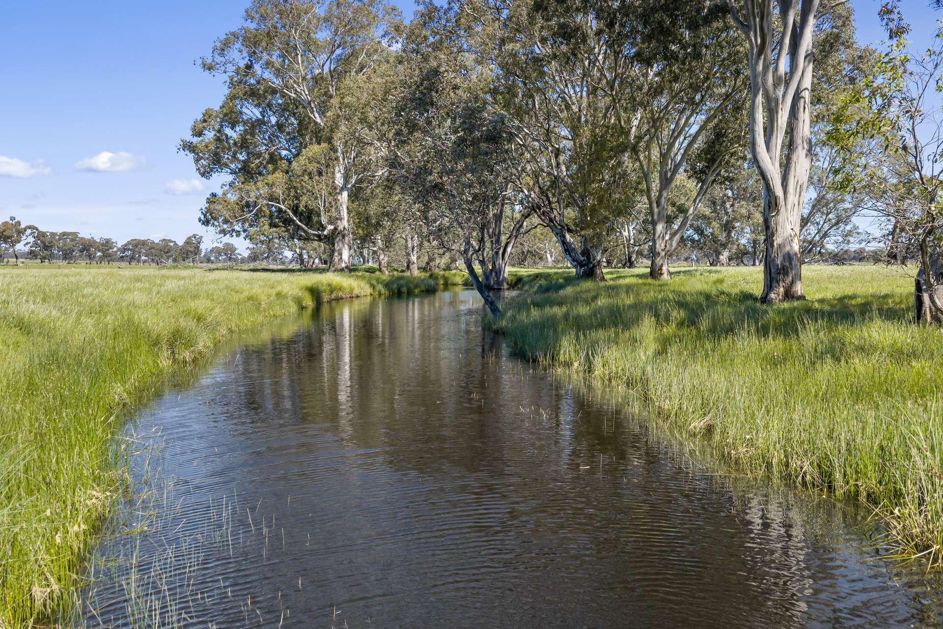 Tattersalls Lane, Moormbool West For Sale by Farmbuy.com - image 5