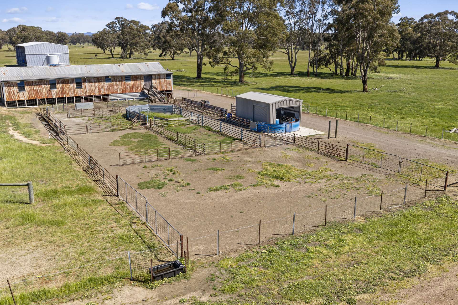 Tattersalls Lane, Moormbool West For Sale by Farmbuy.com - image 9