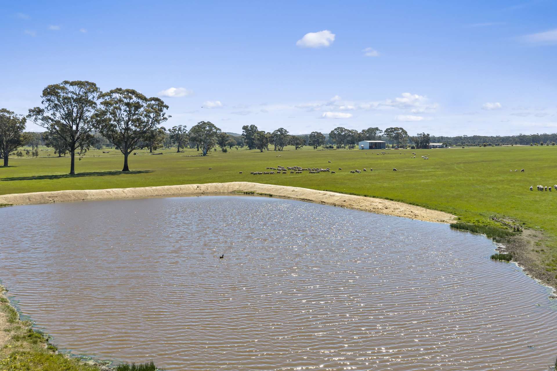 Tattersalls Lane, Moormbool West For Sale by Farmbuy.com - image 25