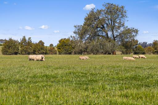 Tattersalls Lane, Moormbool West VIC 3523