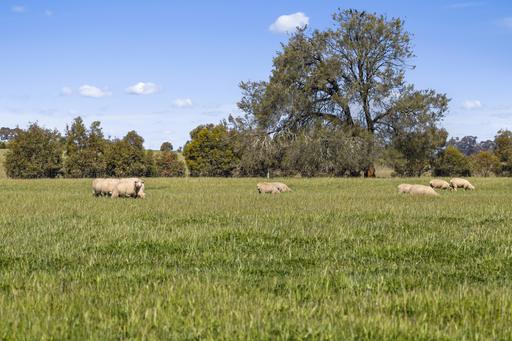 Tattersalls Lane, Moormbool West VIC 3523