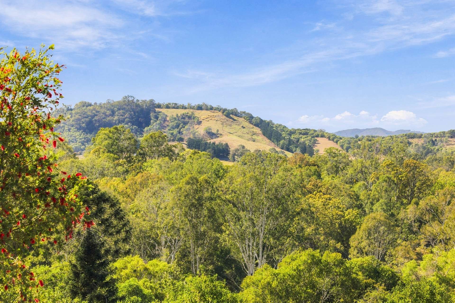 42 Red Gully Road, Amamoor For Sale by Farmbuy.com - image 33